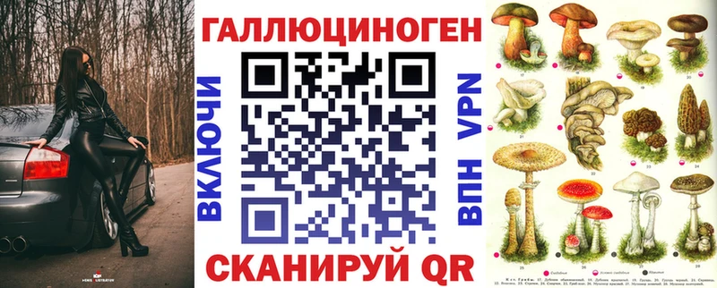 Галлюциногенные грибы Cubensis  Купить где  Гурьевск 